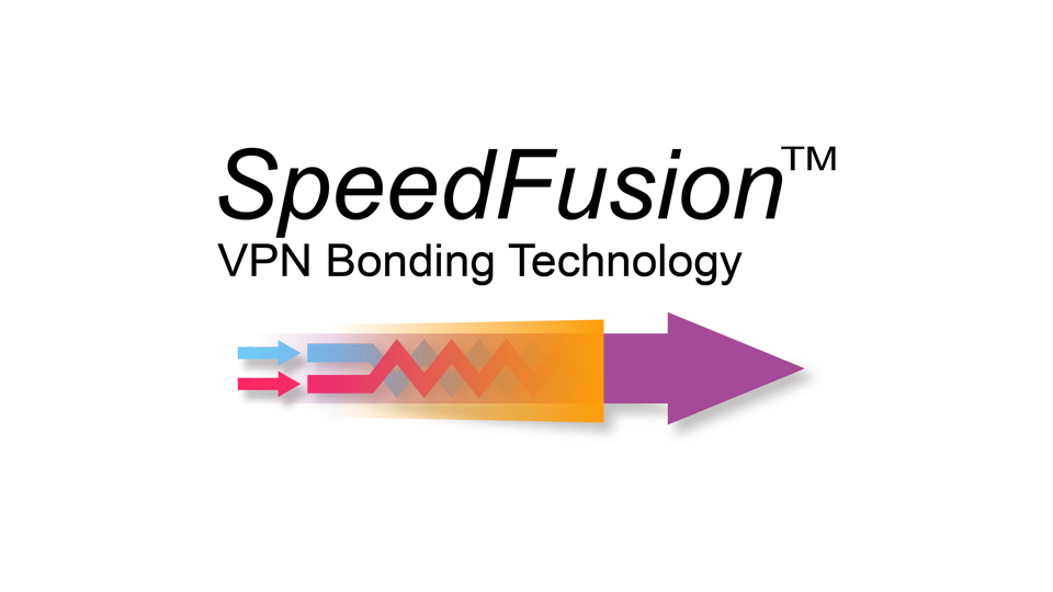 Peplink PepVPN/SpeedFusion 20 Peers License Upgrade