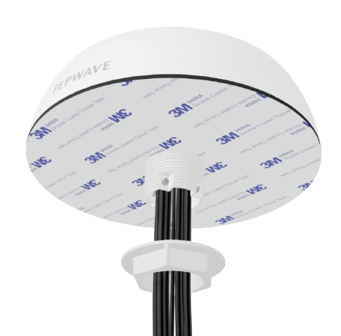 Peplink Mobility 42G Antenna w/ QMA Connectors