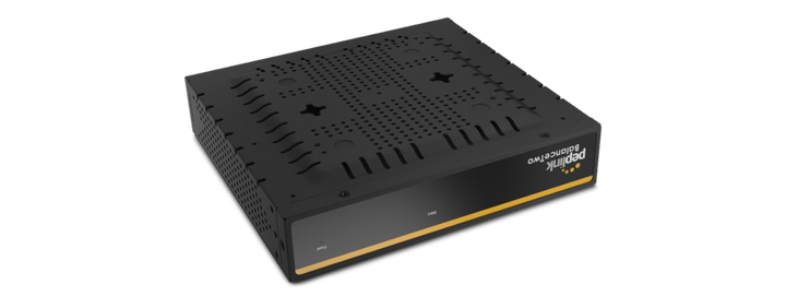 Peplink Balance Two Enterprise Router