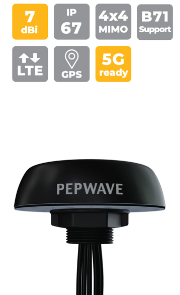 Peplink Mobility 40G Antenna