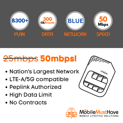 B300+ - Monthly Subscription Fee