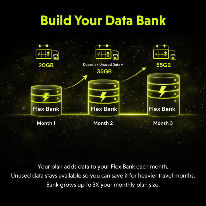 RoamLink Flex - 20GB/mo Multi-Carrier Data Plan