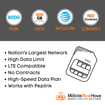 B500 - Monthly Subscription Fee