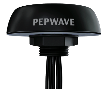 Peplink Mobility 22G 5-in-1 Antenna