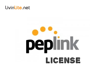 OpenVPN WAN License