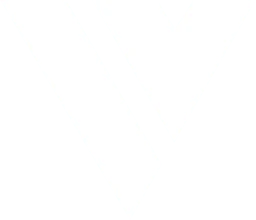 Veritas Vans logo